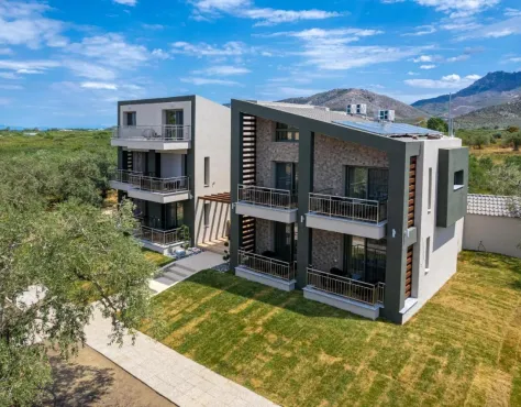 The Olive Land Thassos